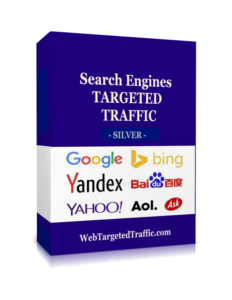 search engine traffic